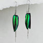 Boucles d'oreilles Élytres et Argent
