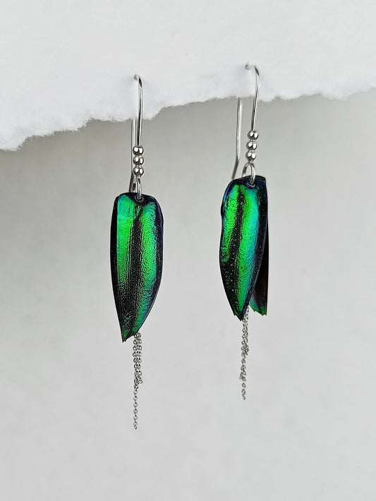 Boucles d'oreilles Élytres et Argent