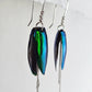 Boucles d'oreilles Élytres et Argent