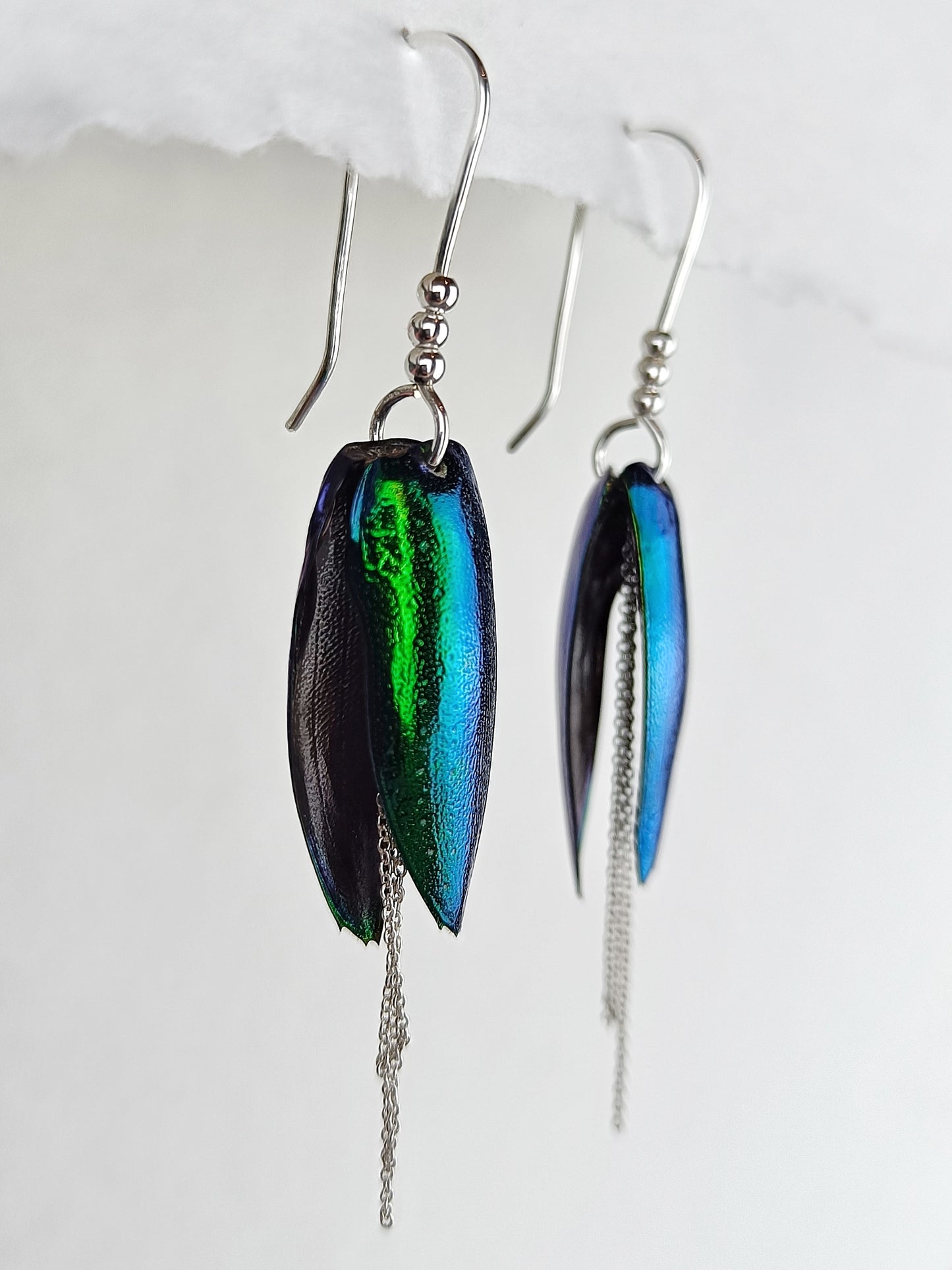 Boucles d'oreilles Élytres et Argent